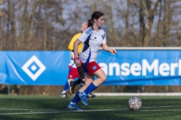 Bild 239 - F Hamburger SV 3 - Blau-Weiss 96 : Ergebnis: 5:1